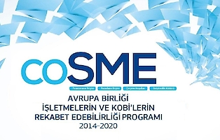 Cosme Programı Kapsamında Proje Teklif Çağrıları