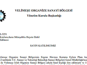 Seçimli Müteşebbis Heyet Toplantısı