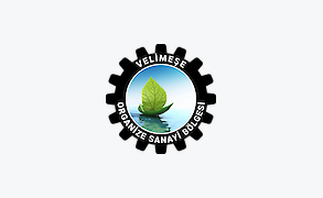 Ön Tahsis İlanları